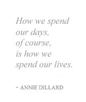 Annie Dillard quote